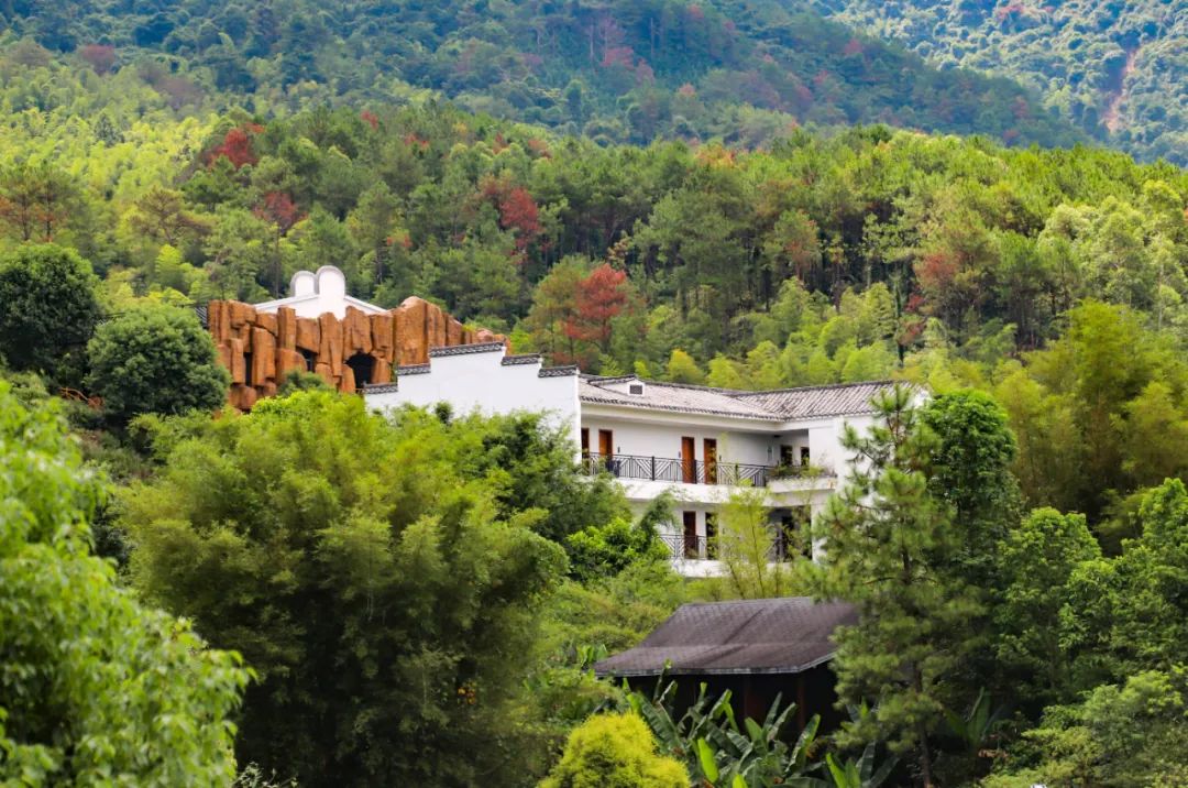 (丹霞灵溪景区预计6月中旬开漂,敬请期待)感受到冒险的挑战和无限的