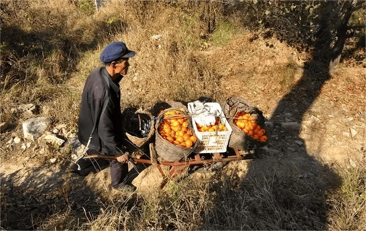 结婚前夜养父给我说了好多心里话