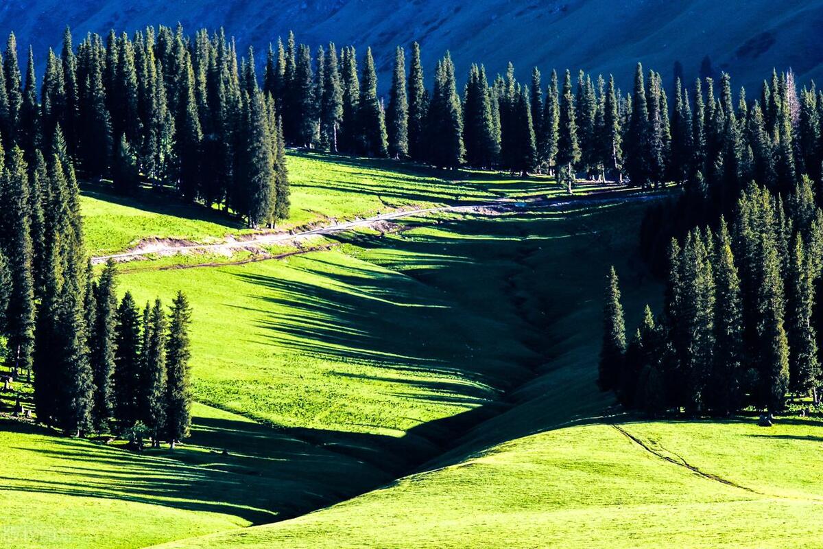第九天 特克斯县城-喀拉峻草原- 库尔德宁,晚住库尔德宁