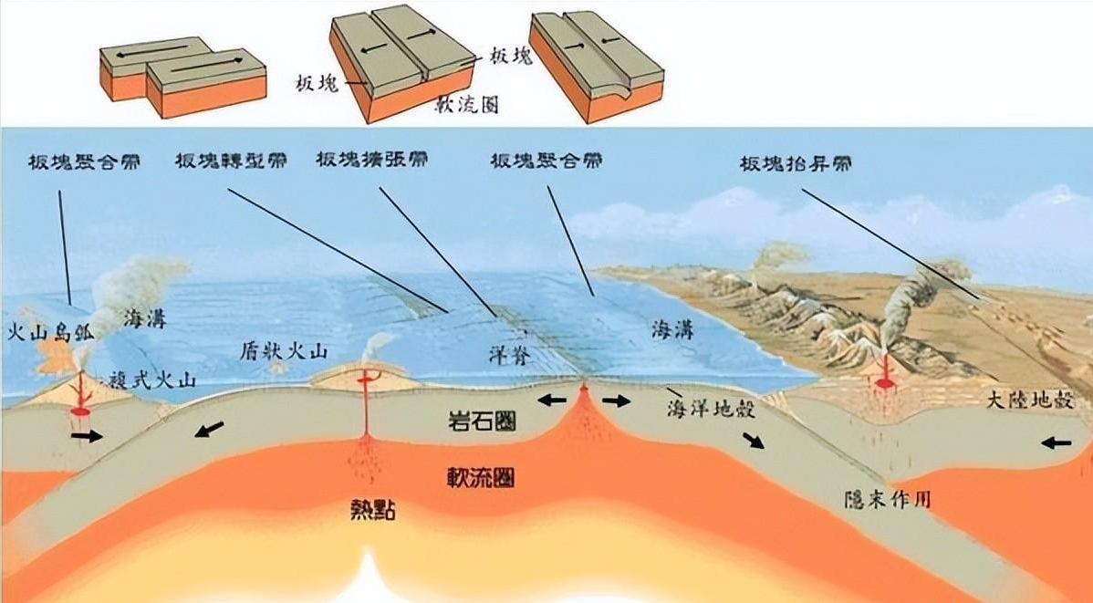 人类禁区——巴西蛇岛!科学家:上岛就意味着你离死亡只有一米