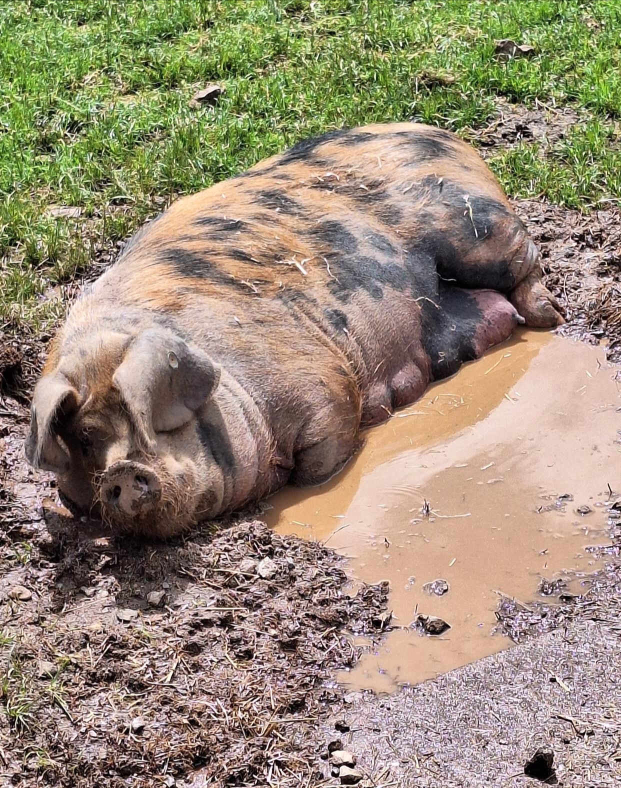 目的地心动指南# 又不用上班,又不用上学,把孩子
