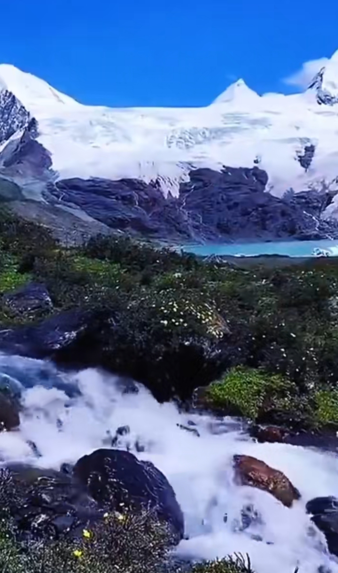 朋友送来卓玛泉