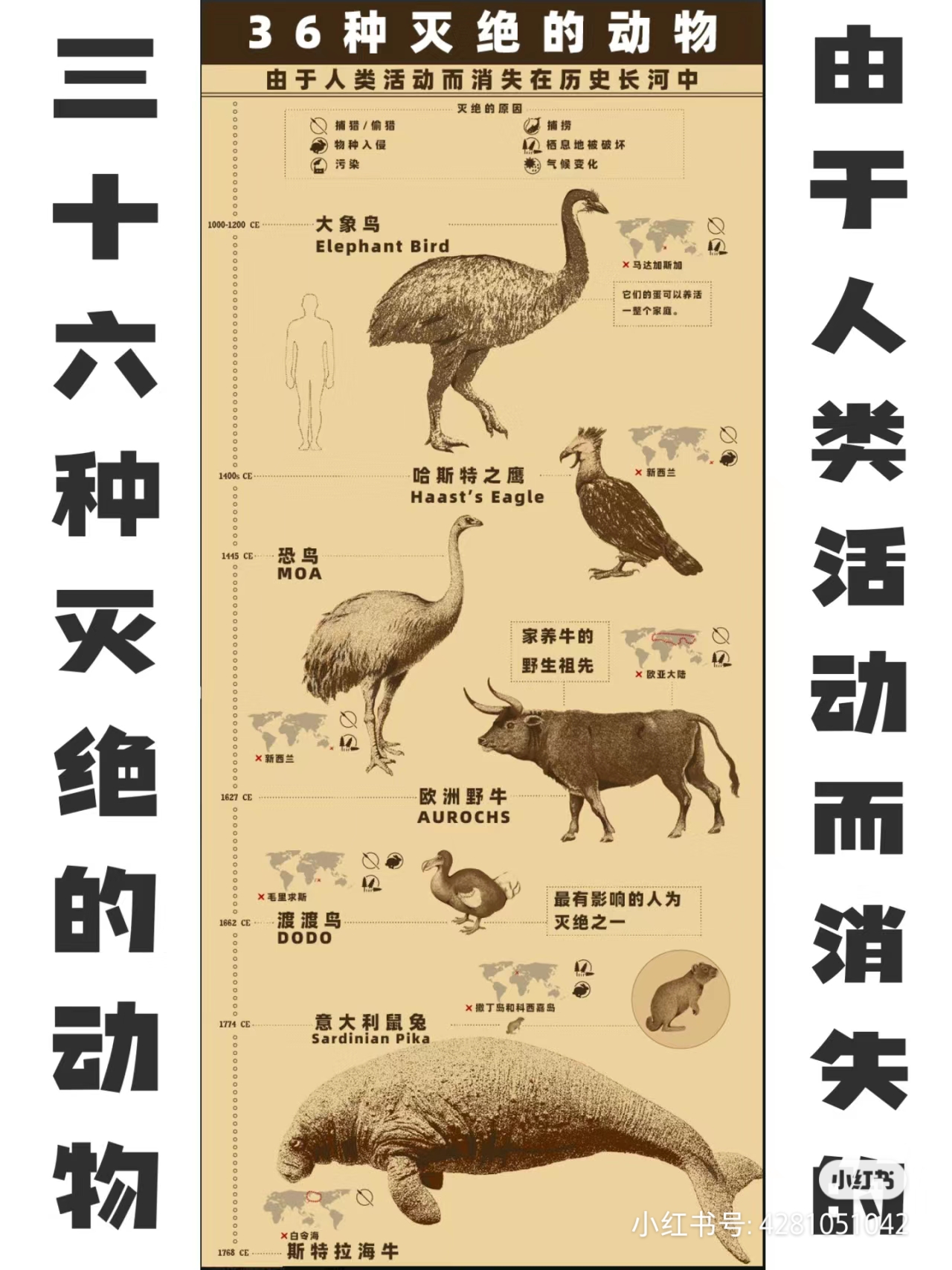 三十六种由于人类活动而灭绝的动物