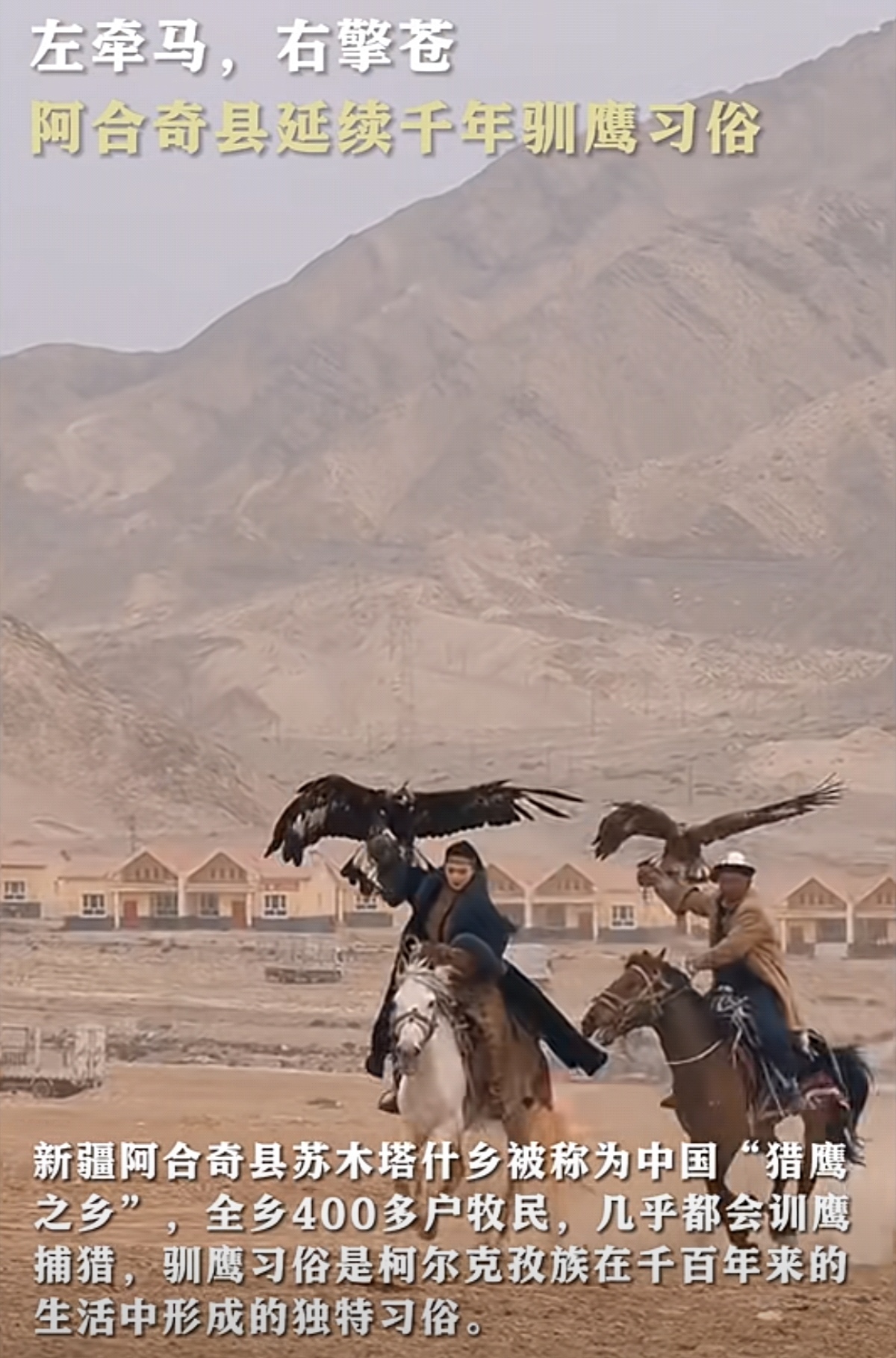 苏木塔什乡被称为中国"猎鹰之乡",全乡400多户牧民,几乎都会训鹰捕猎
