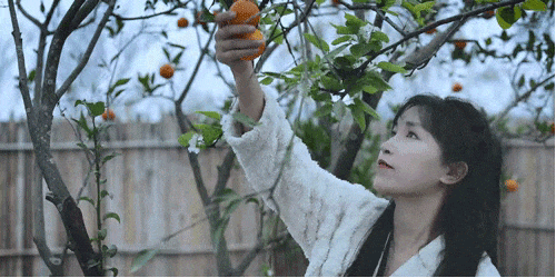 羡慕李子柒的生活?可一扯掉"滤镜",才发现那"仙境"不是真的