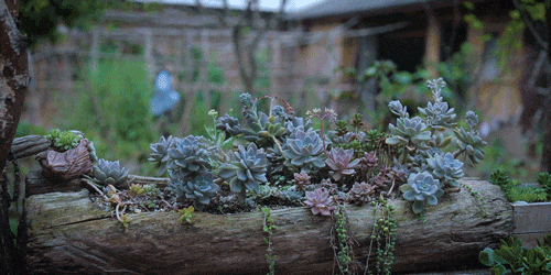 羡慕李子柒的生活?可一扯掉"滤镜",才发现那"仙境"不是真的