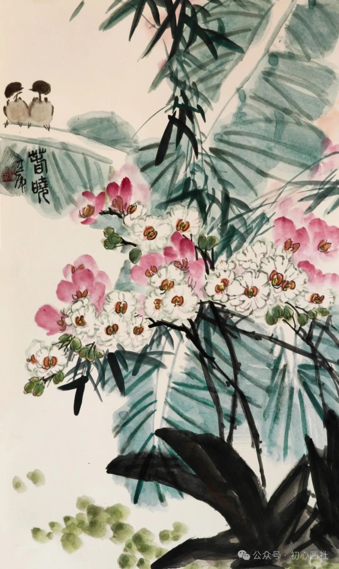 《夏之韵》 69x46cm  山东青岛谭子富《暑雨方晴己入秋》33x66cm