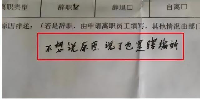 00后大学生"耿直"辞职信走红,一点面子没留,老板看后无话可说