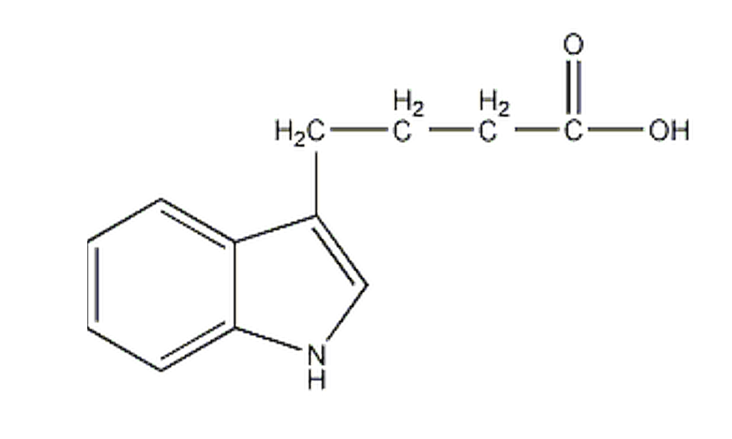 通过稳定转化改变剑麻的物理性质,有望应用于改进材料的开发吗?