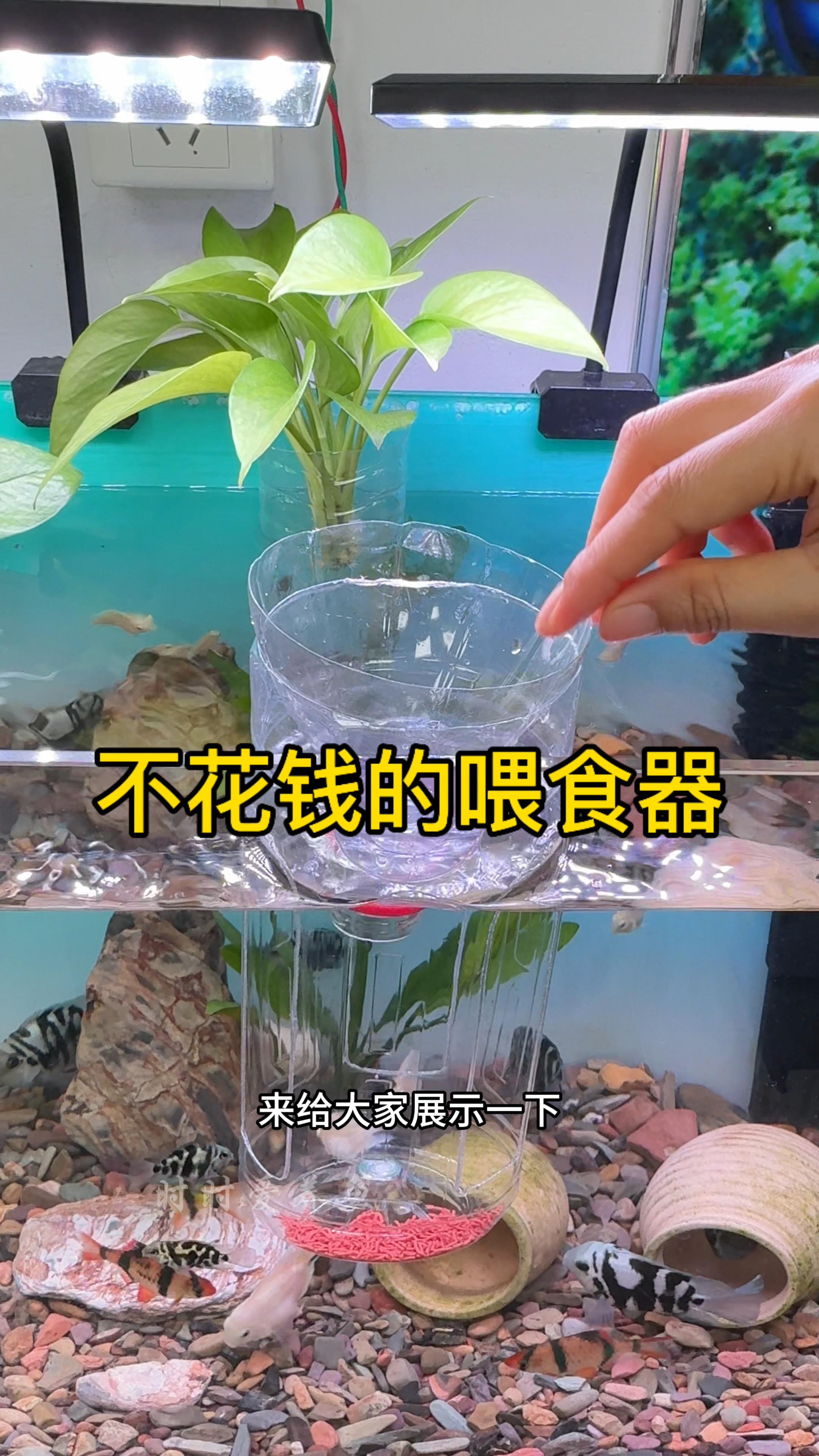 自动喂鱼器原理图片