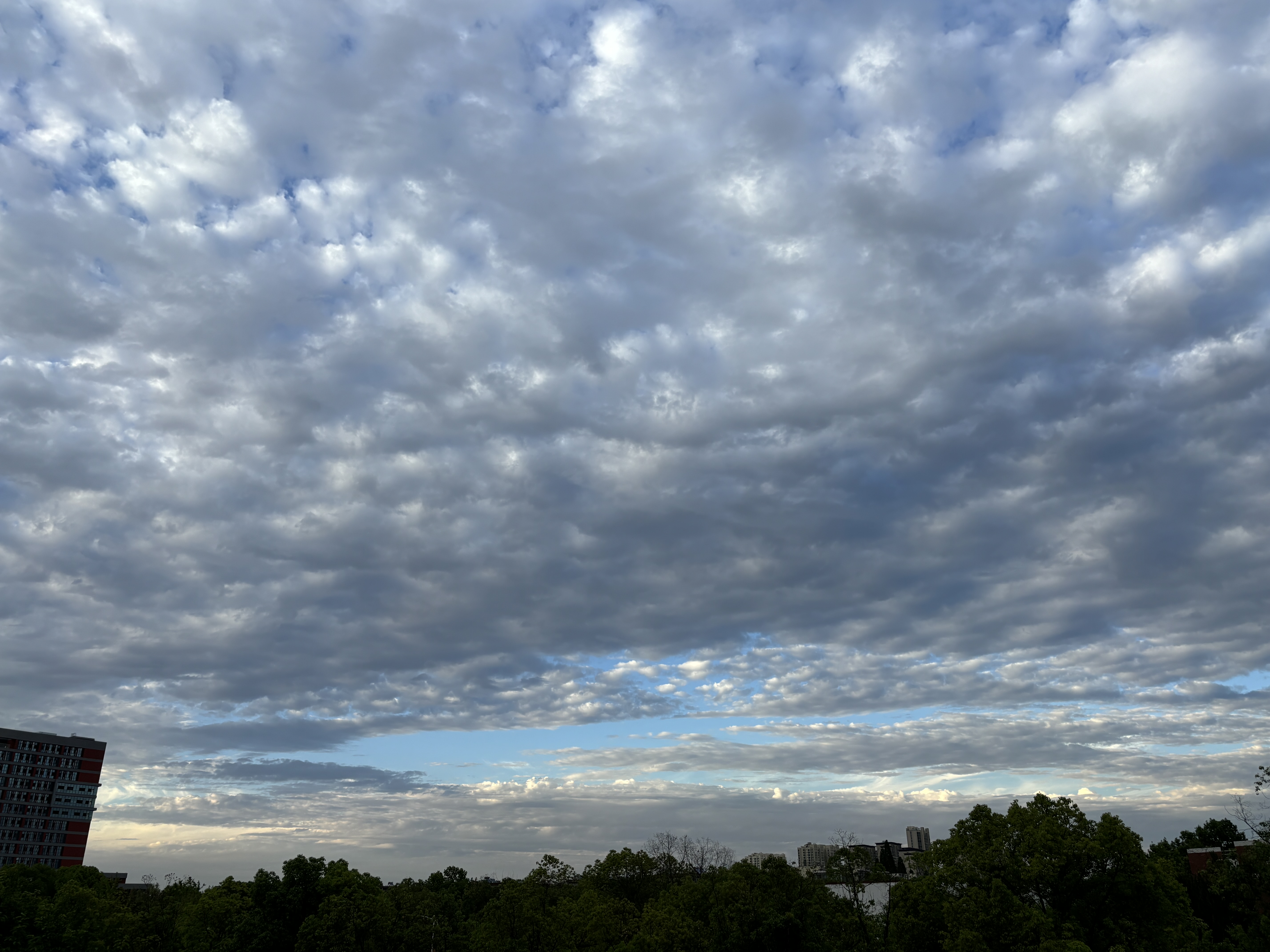 我哥今年40岁,不上班,在家靠我爸妈养,抽烟还要抽好的,我爸的八块钱一