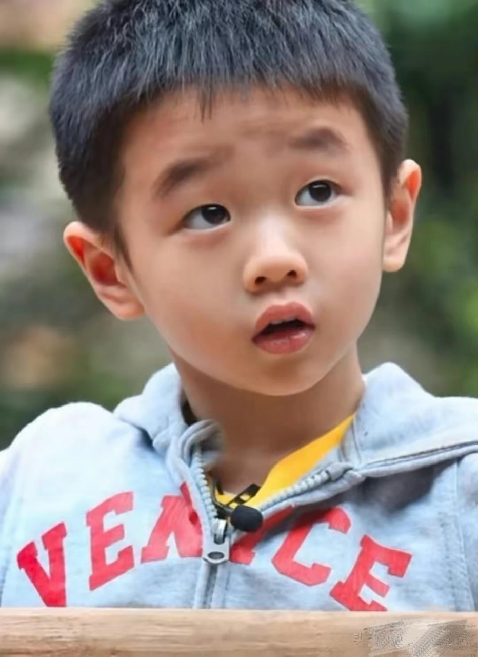 杨阳洋长大了,没怎么变.