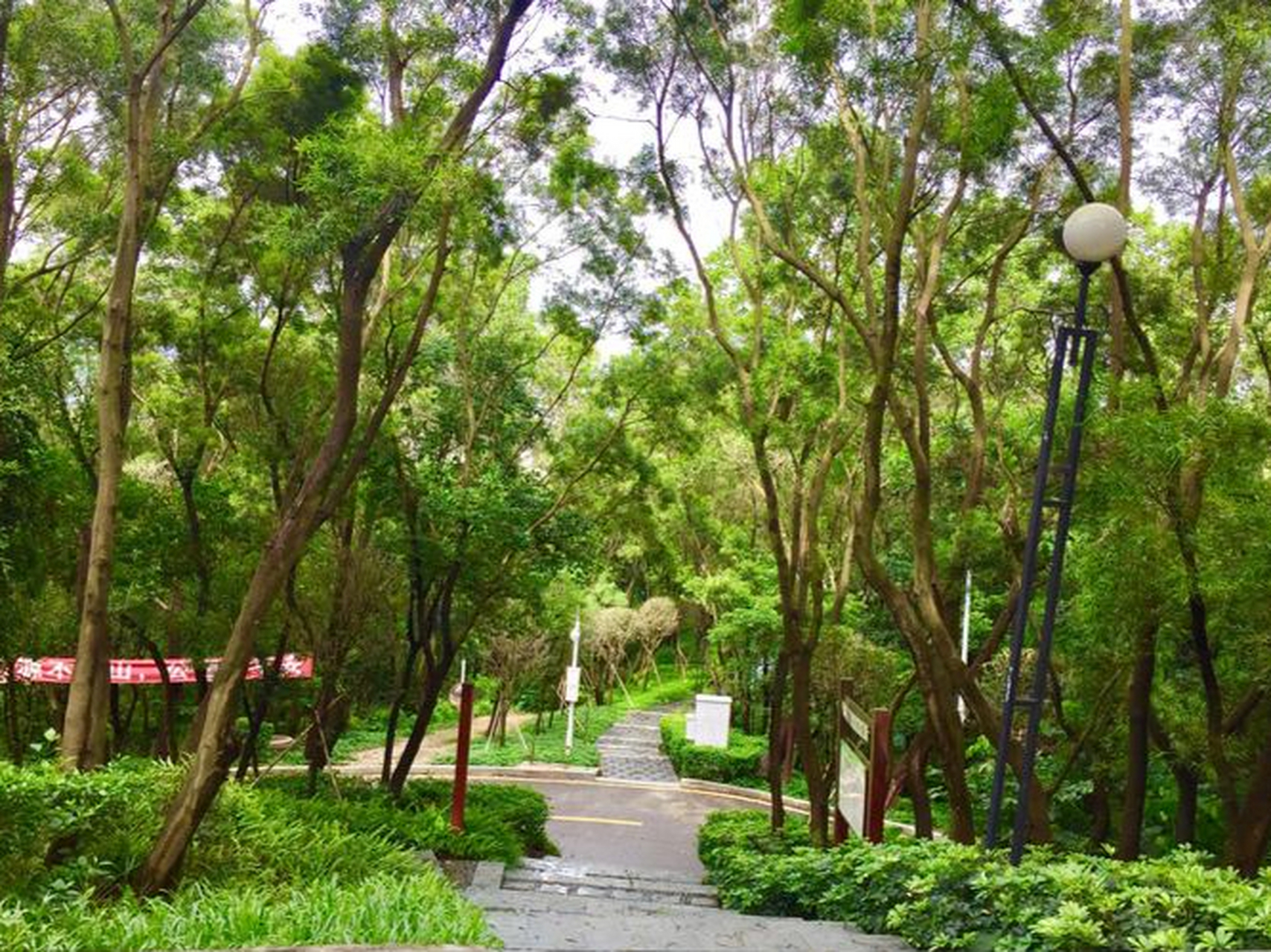 最出粽的城市#深圳铁仔山公园:是城市间一处天然的吸氧宝地,有着城市
