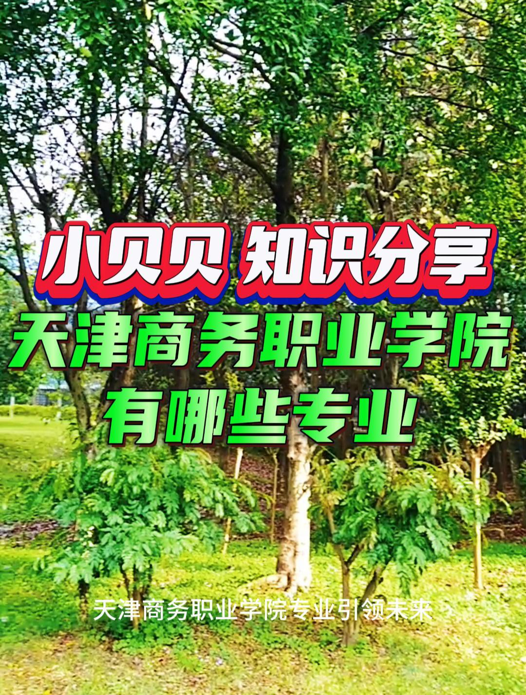 天津商务职业学院:专业引领未来,探索商务新纪元