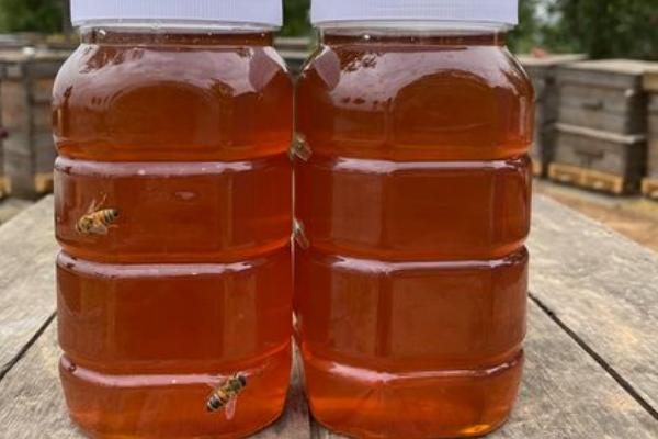 枣花蜜结晶后呈哪种颜色,一般为浅琥珀色或浅黄色