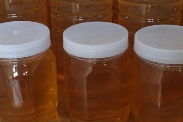 枣花蜜结晶后呈哪种颜色,一般为浅琥珀色或浅黄色