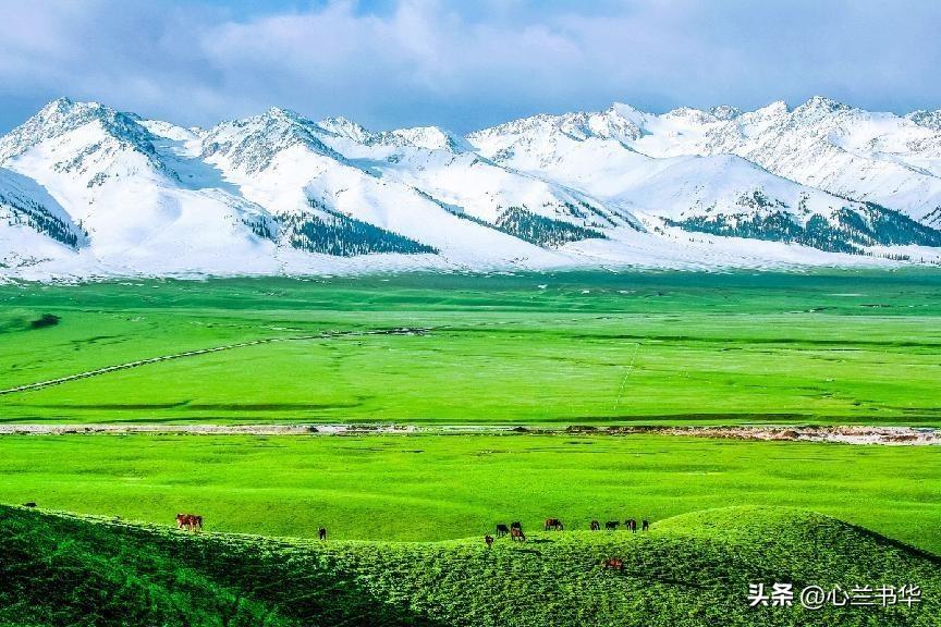 赔款900万卢布也要收复,伊犁河谷对于中国究竟意味着什么?