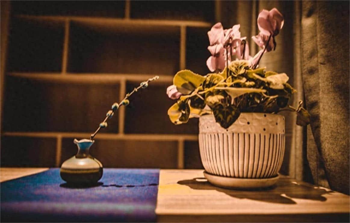 陪婆婆逛街,竟撞见丈夫和其他女人牵手逛街,婆婆:别怕让我来