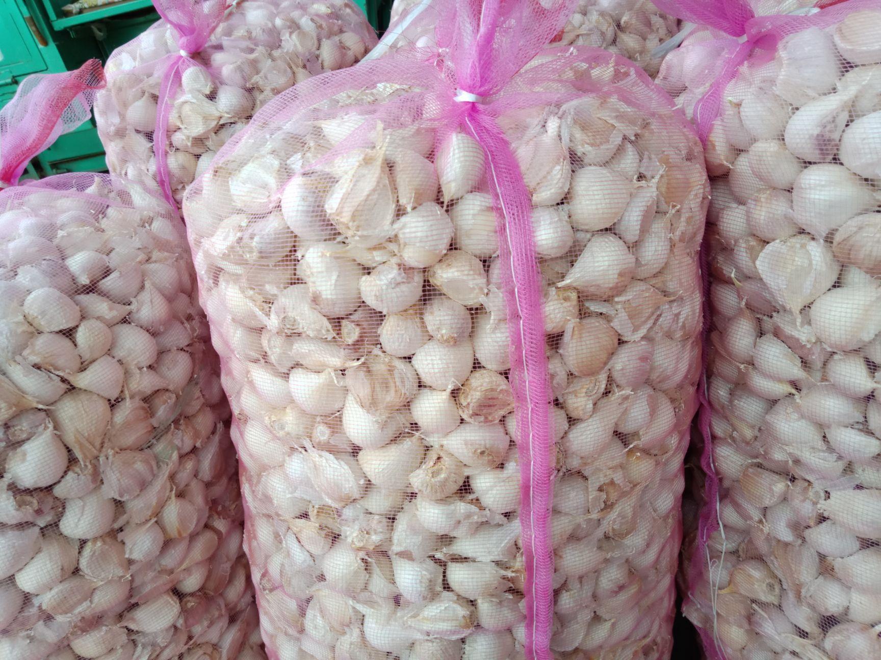 大蒜是哪里的特产?中国十大优质大蒜产地,你觉得哪里最有名?