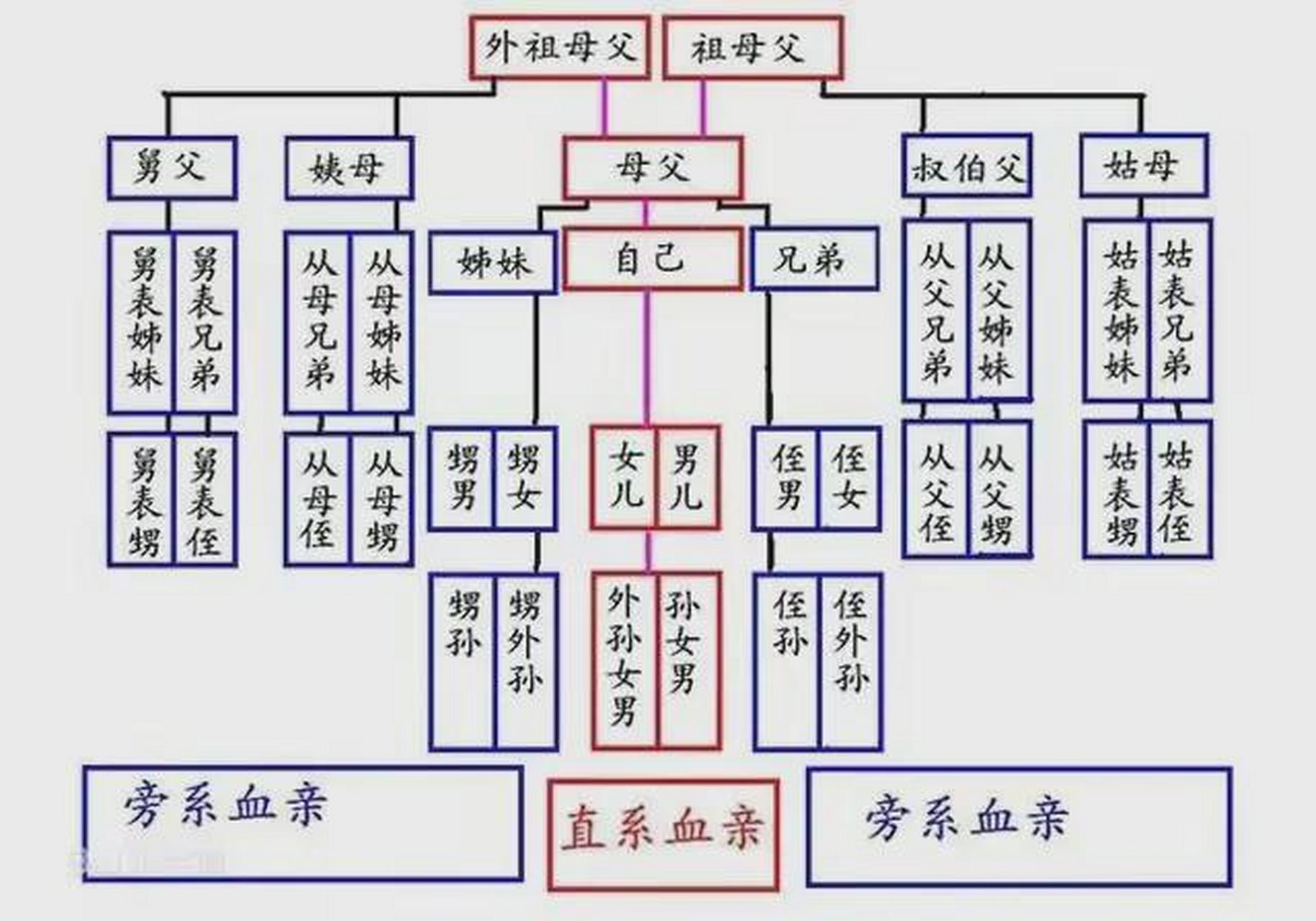 堂兄弟关系图图片