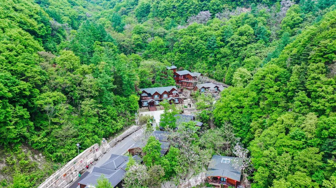 老界岭避暑山庄入住指南!请您查收!