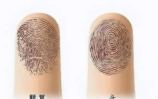 此生食指簸箕没有斗,只往外颠不进手手指头全部簸箕纹是什么命手上有