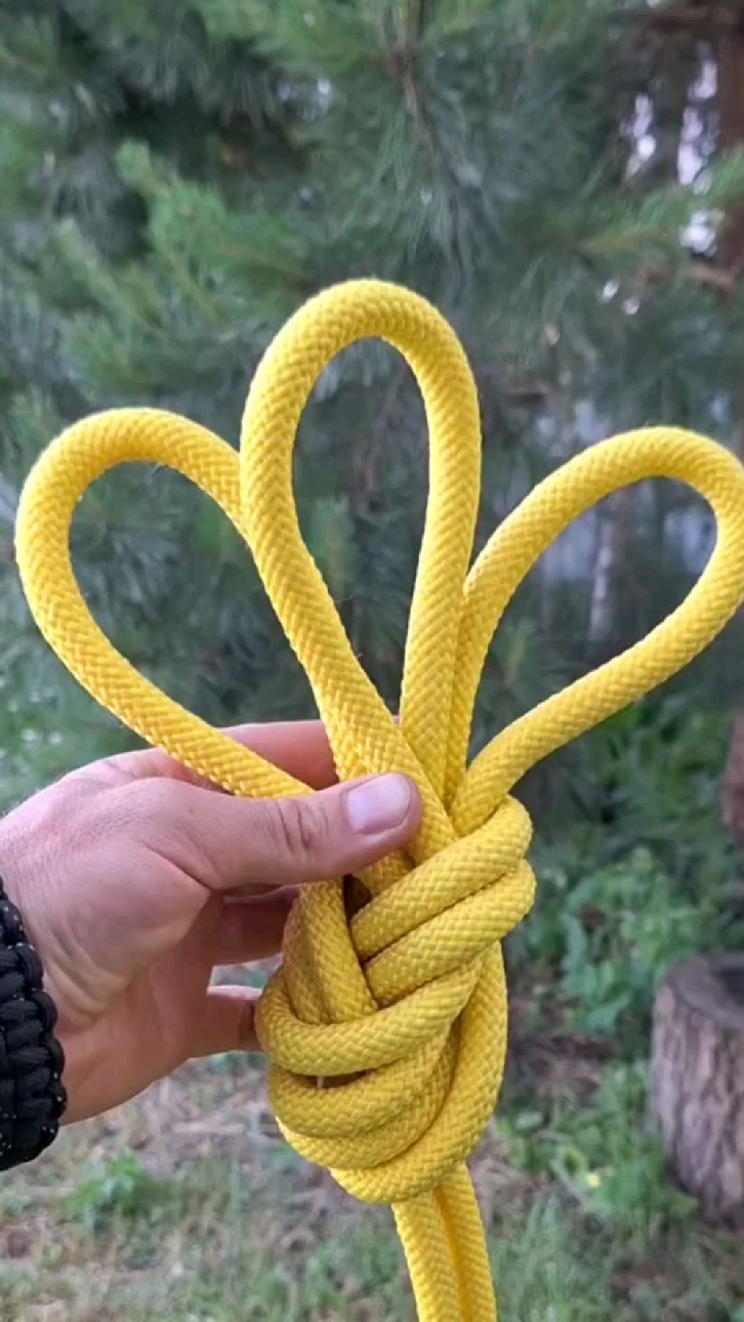 三重八字环结又名三兔耳结,常用于锚点系统或救援中#绳结 #智慧