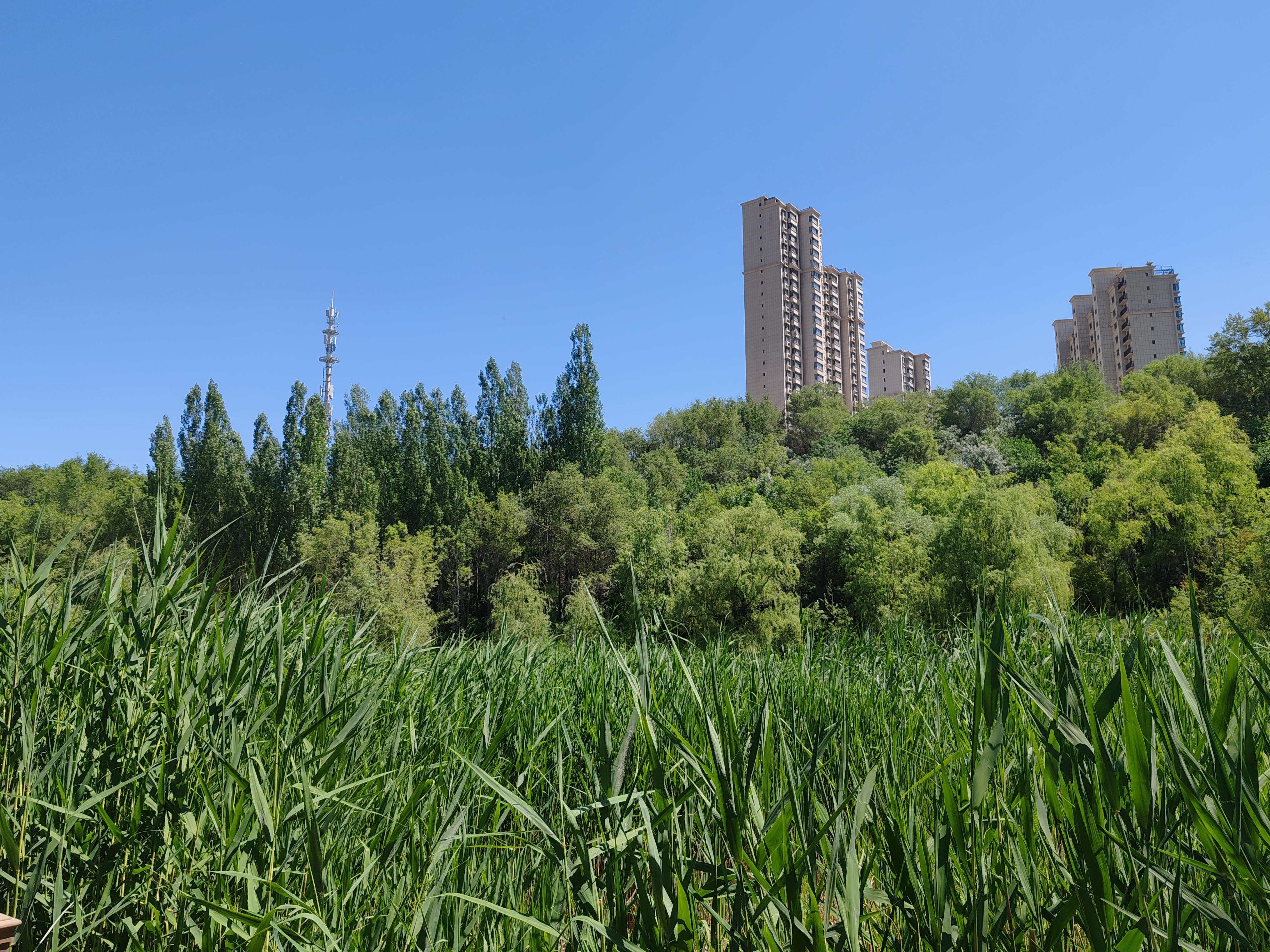 健身休闲好去处,乌鲁木齐市大绿谷生态公园,怡情娱乐小天地