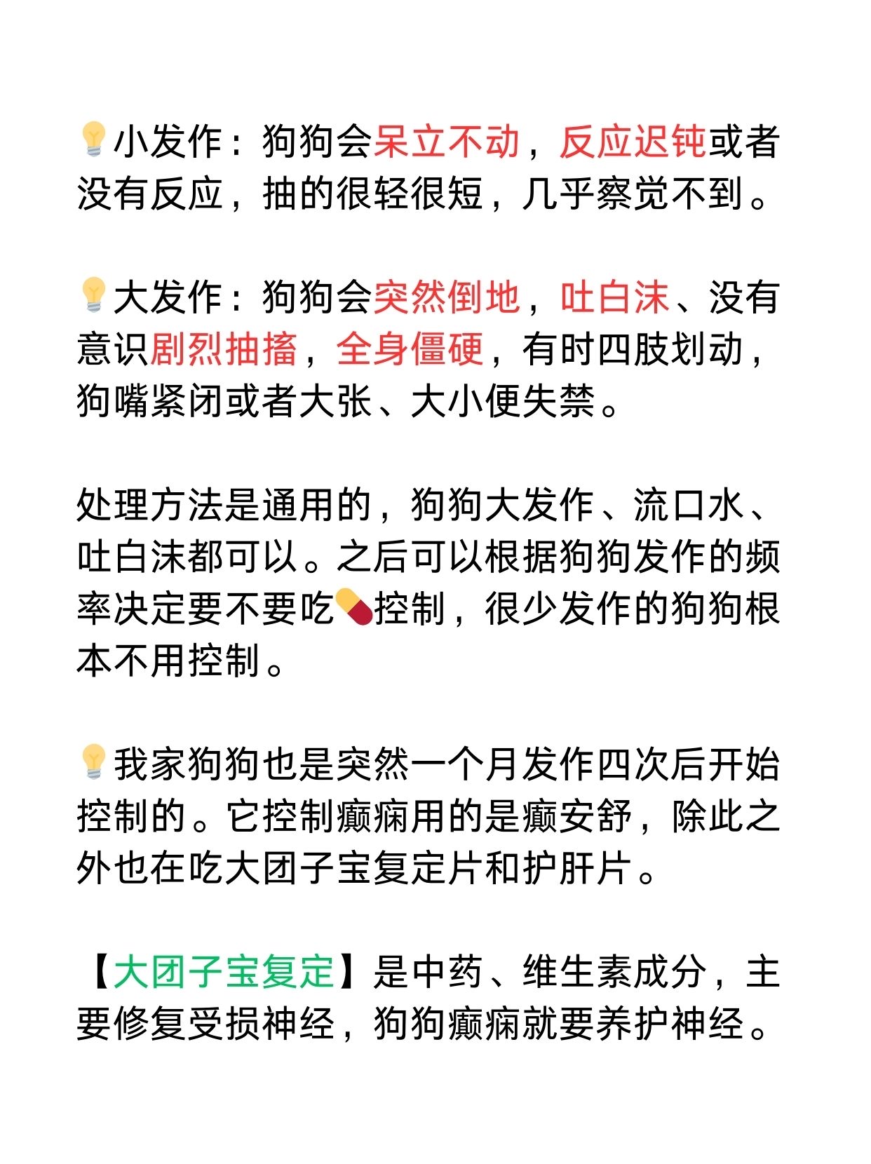 家养癫痫狗狗,告诉你犯病呕吐怎么办