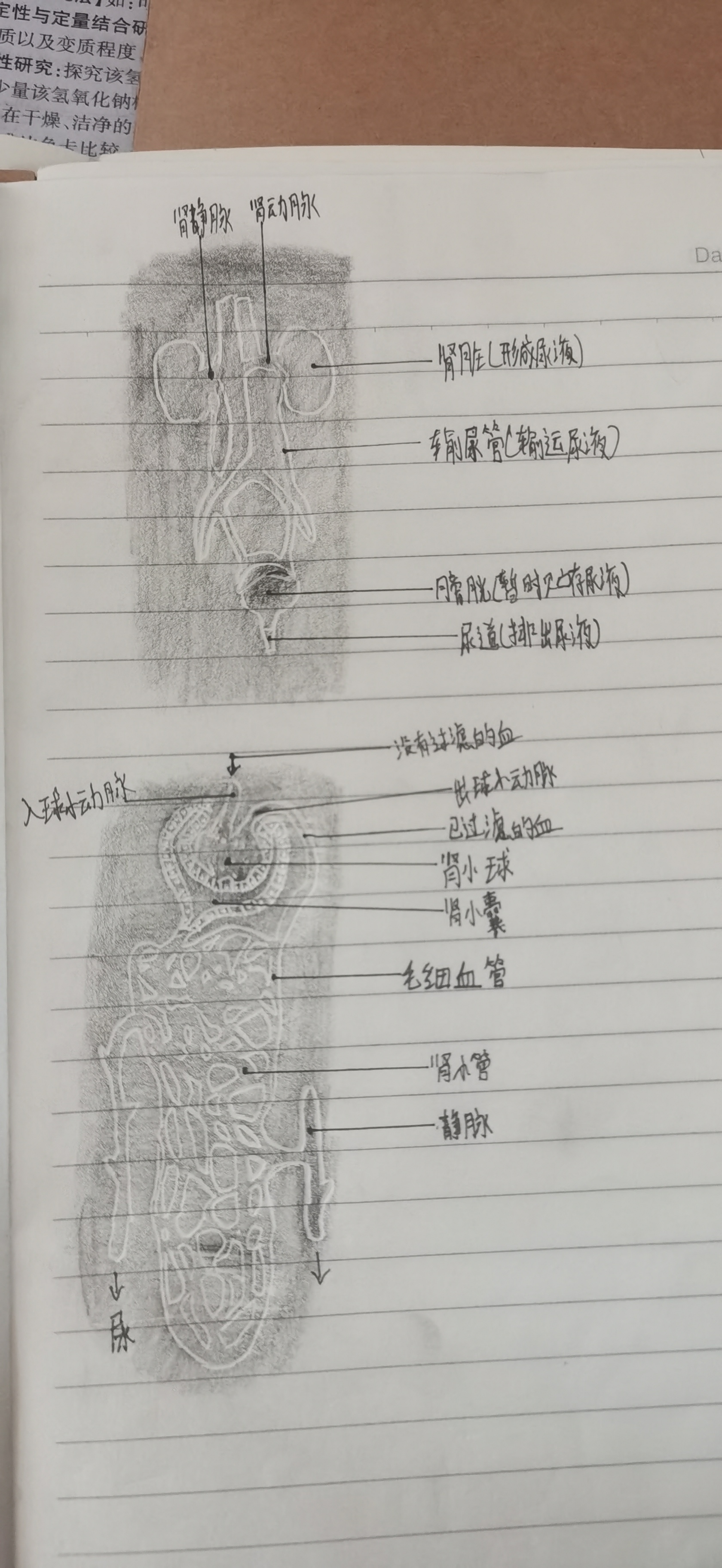 已经很棒了,通过画图促进学生深度学习,过程中锻炼学