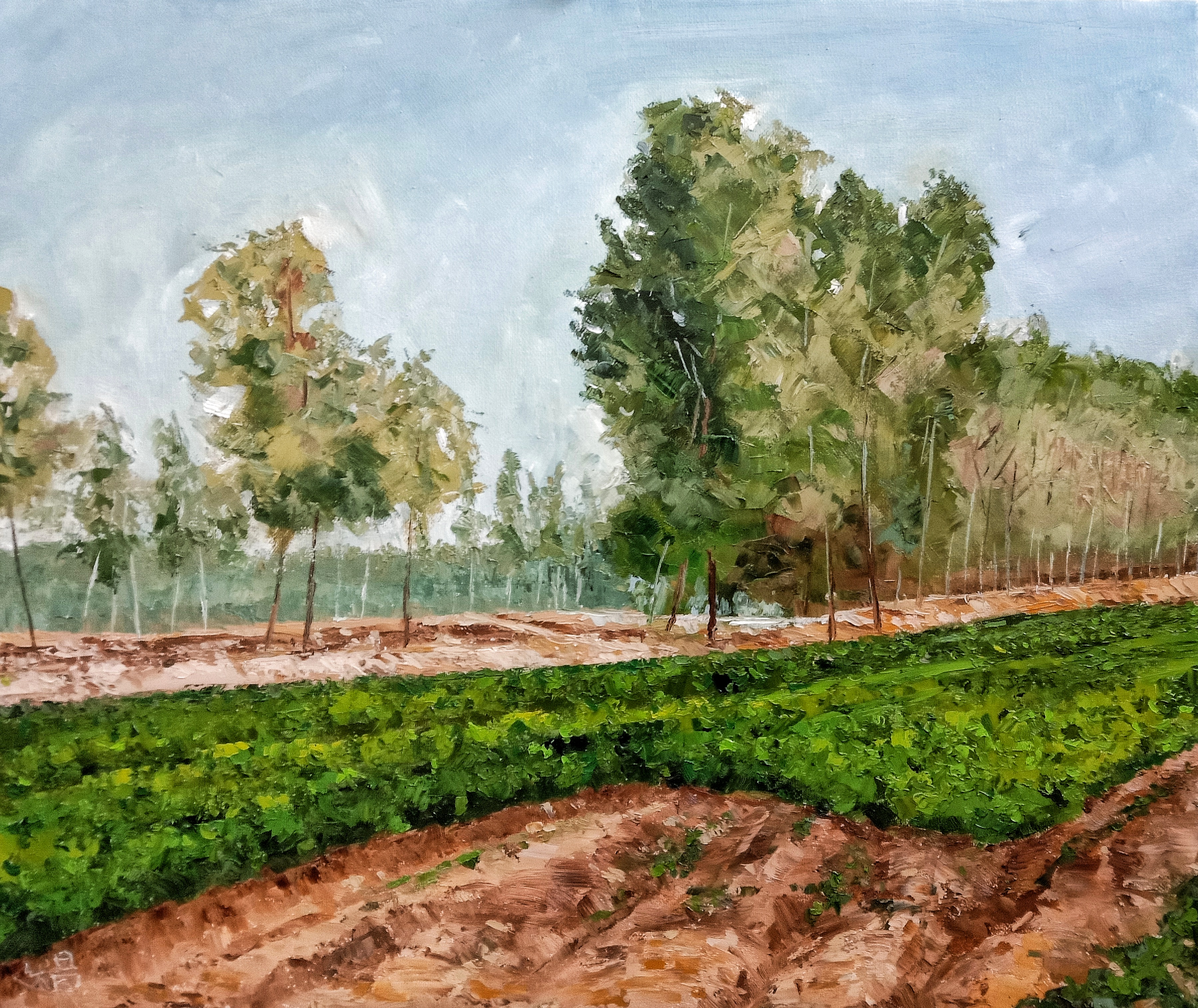 油画家陈述昌的刮刀风景油画