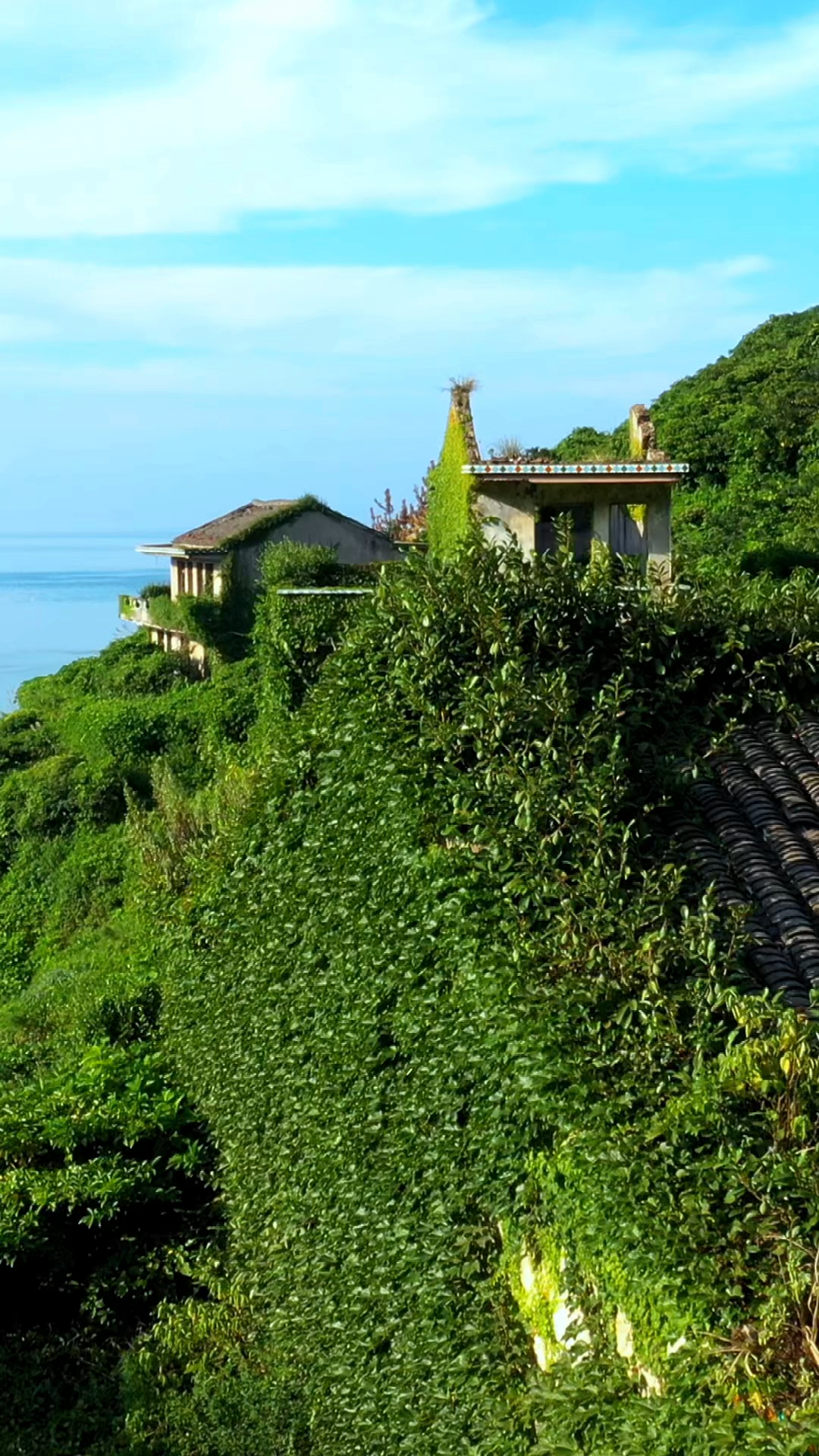 浙江舟山无人岛 今晚在此过夜
