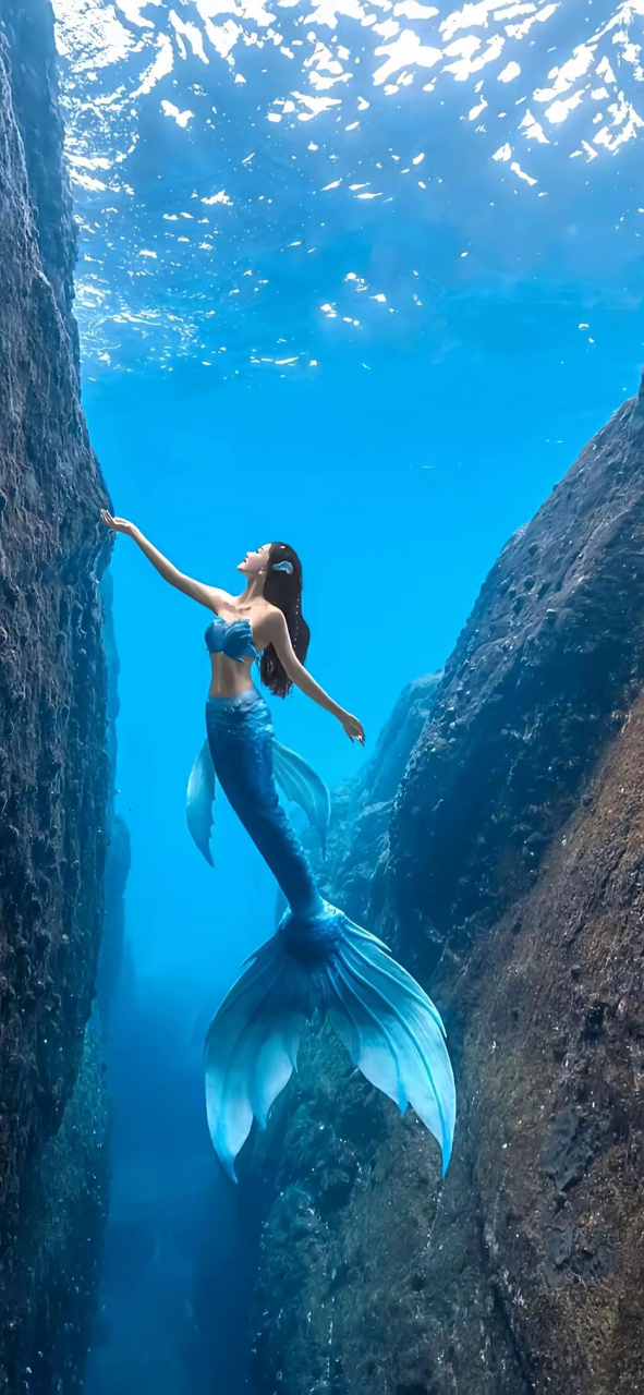 壁纸分享～来一条美人鱼,你可还喜欢?