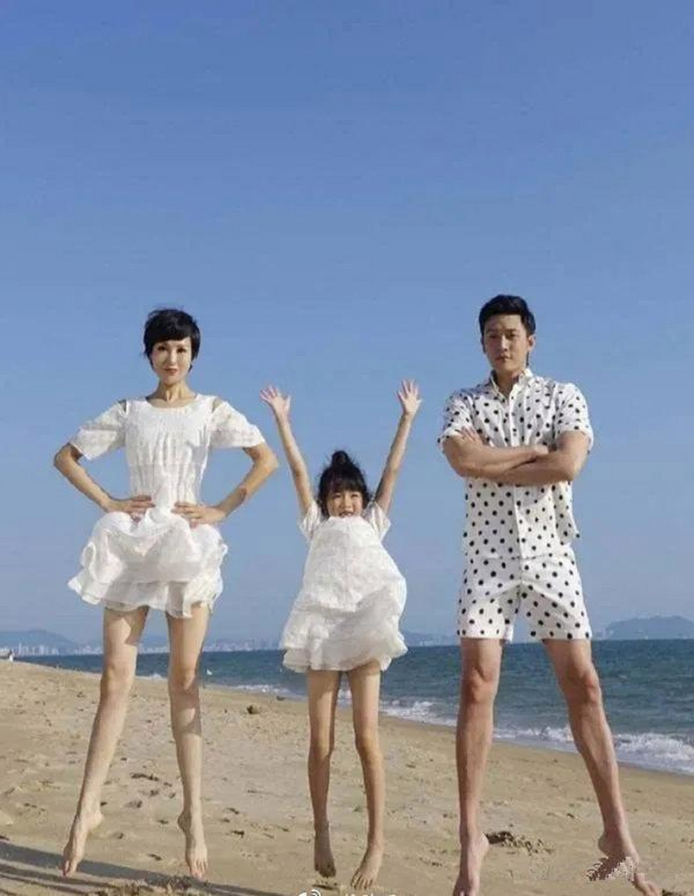 陆毅一家子腿精