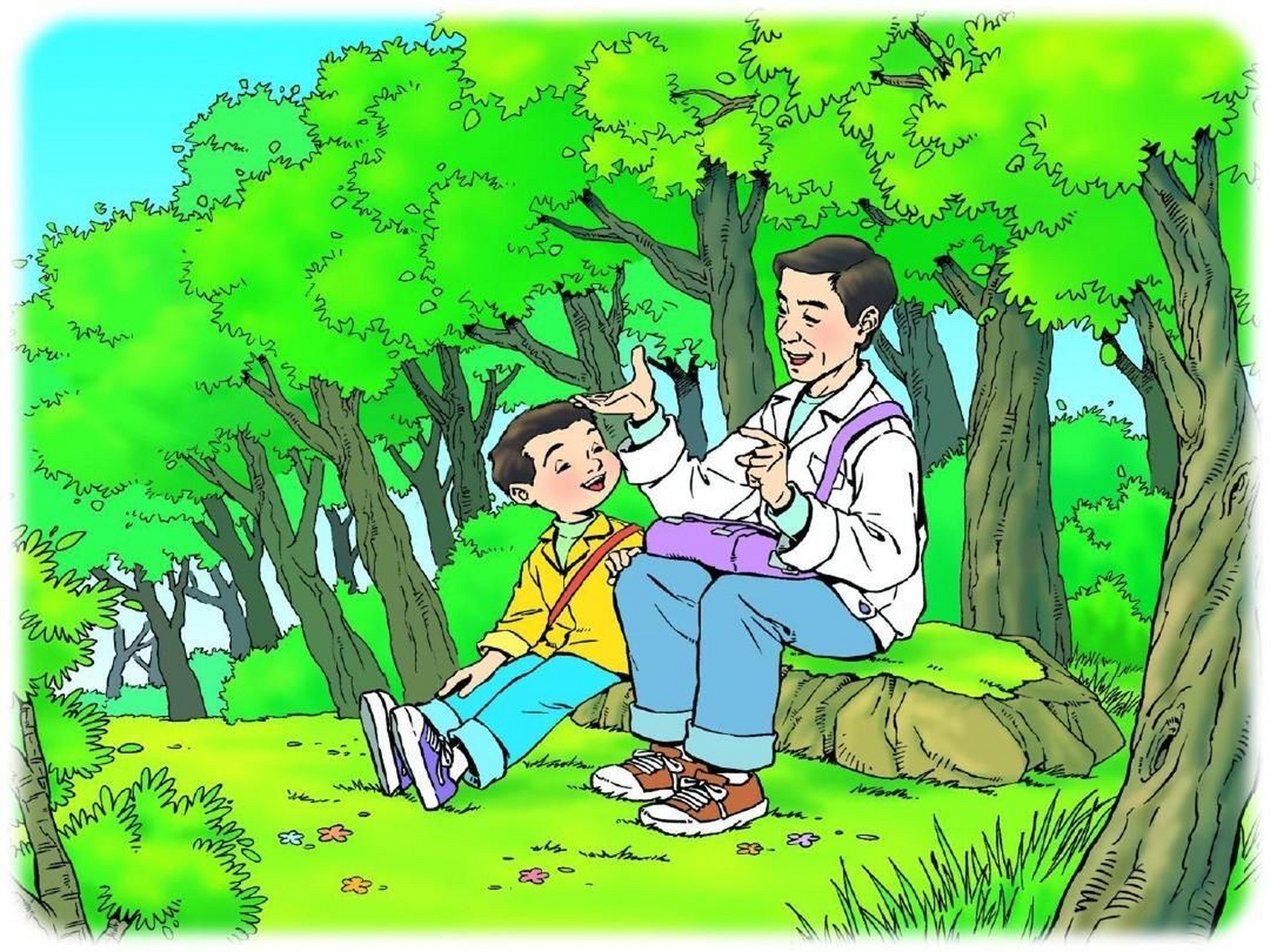 小时候的课文插图,你现在还能叫出课文的名字吗?