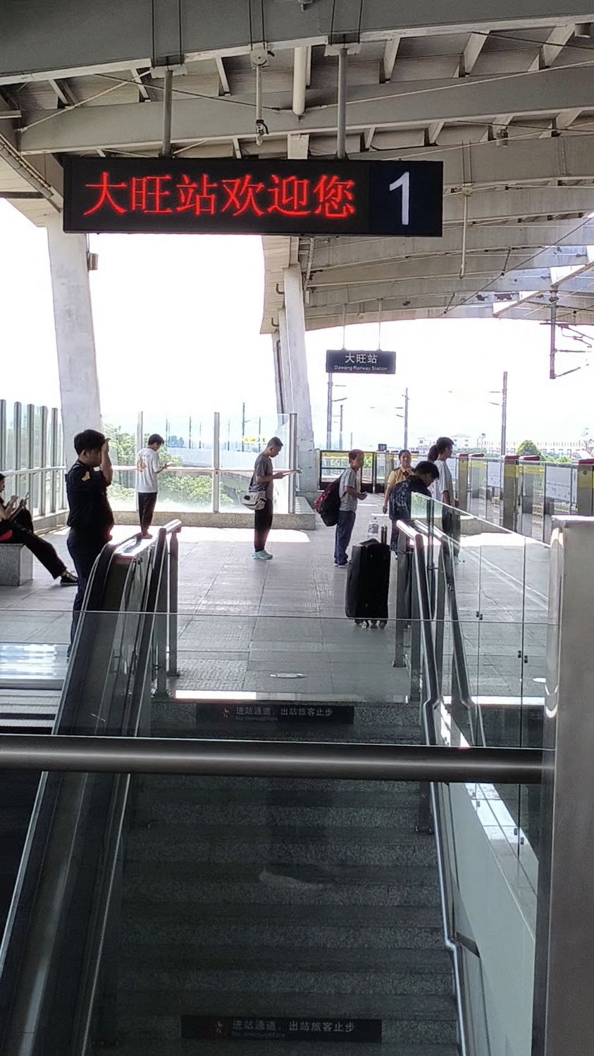 个广东城际铁路肇庆大旺站开往肇庆站,和谐号进站,人不是很多