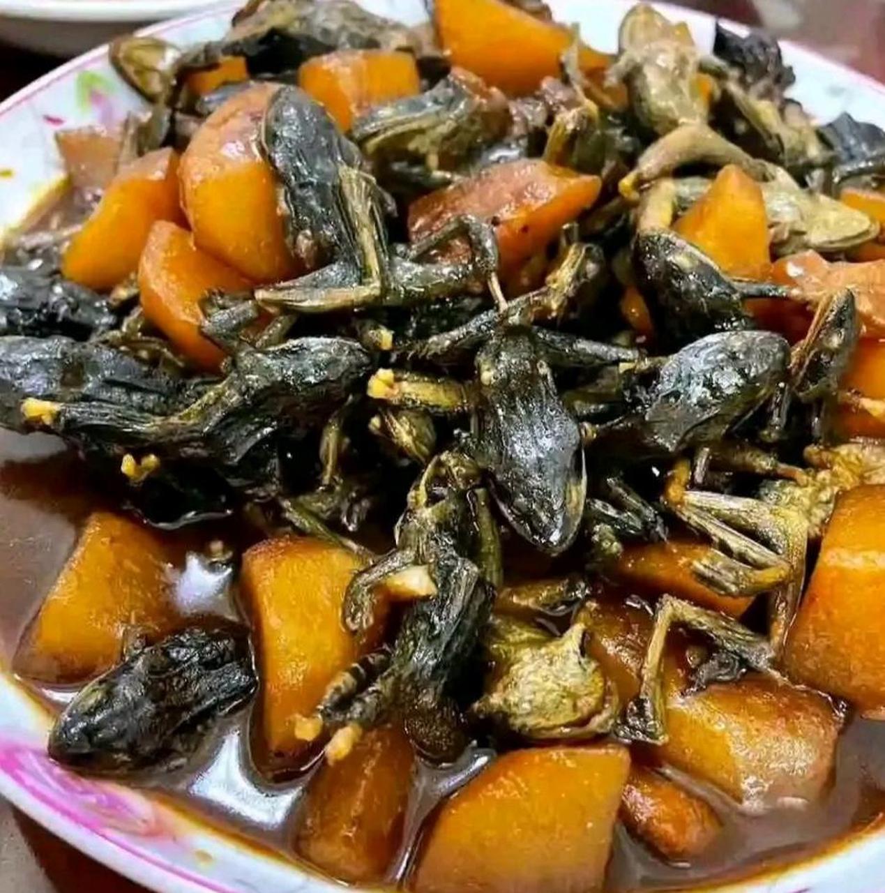 男朋友说这是他们招待贵客的菜哈士蟆烧土豆,我去,太吓人了,不敢吃,真