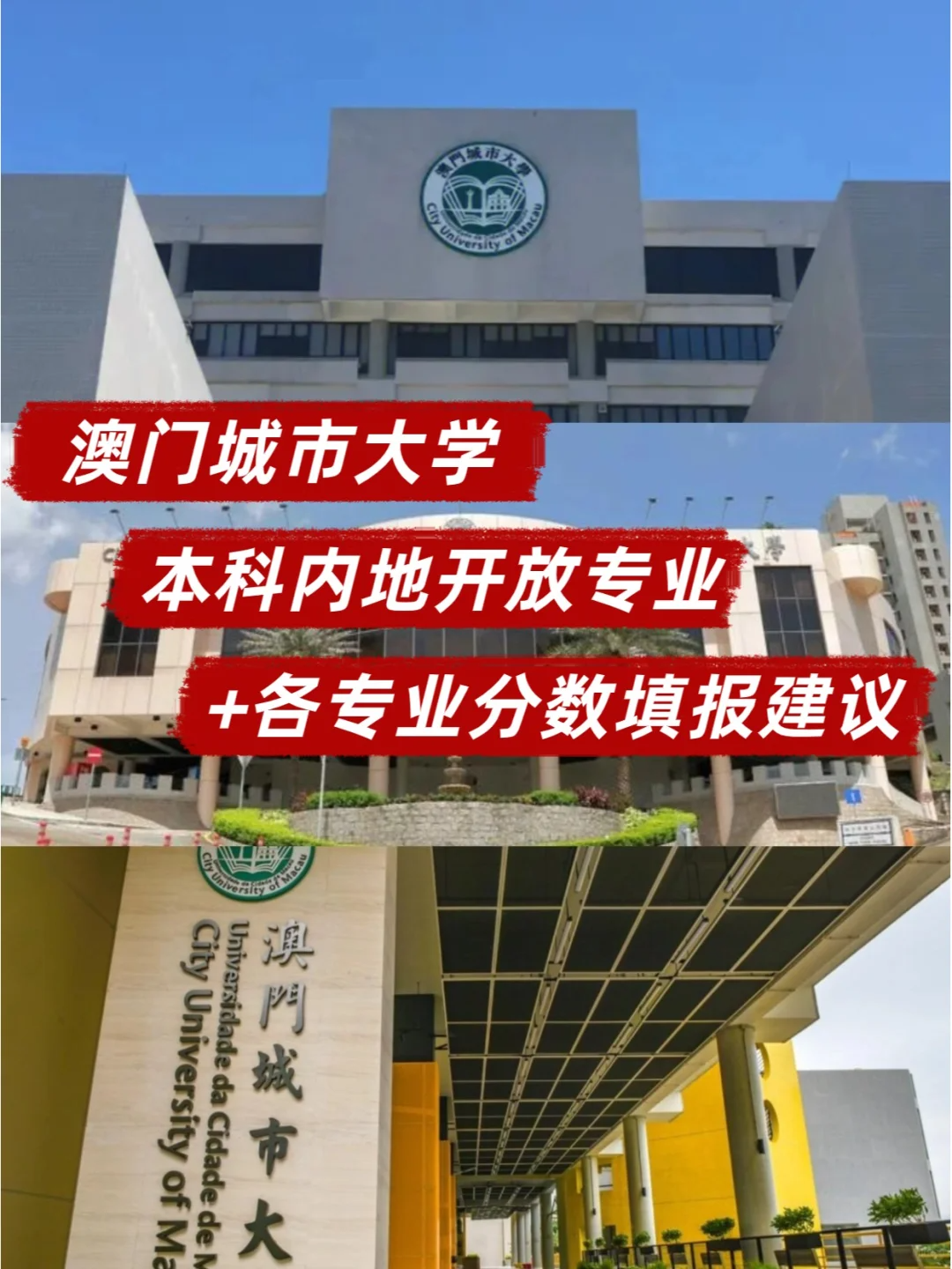 澳门科技大学分数线图片