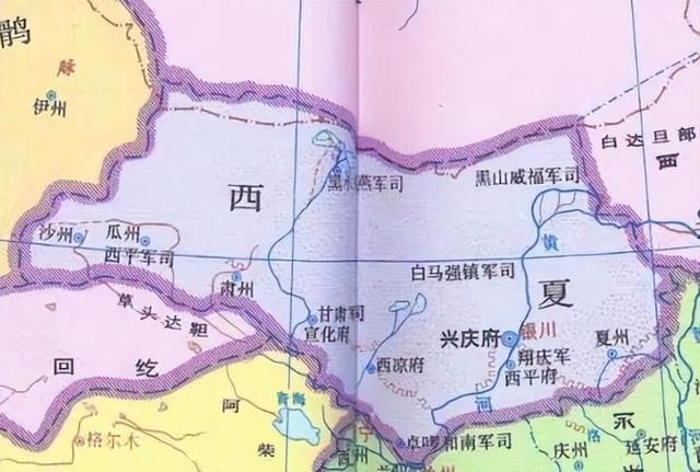 一口气看懂西夏灭亡