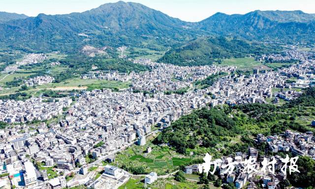 驻饶平上饶镇工作队:笃行不怠守初心,三载耕耘产业兴