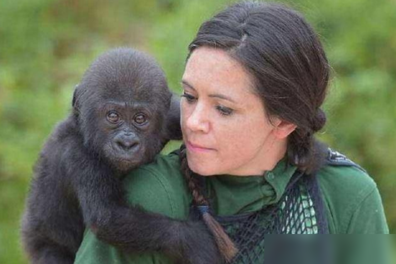 苏联"人猿杂交"实验:5名女孩与11只猩猩参与,最终结局如何?