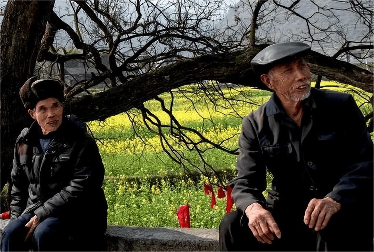 王大爷眼神沉重,点了点头:"我也是这么想的,这件事我会查个水落石出!