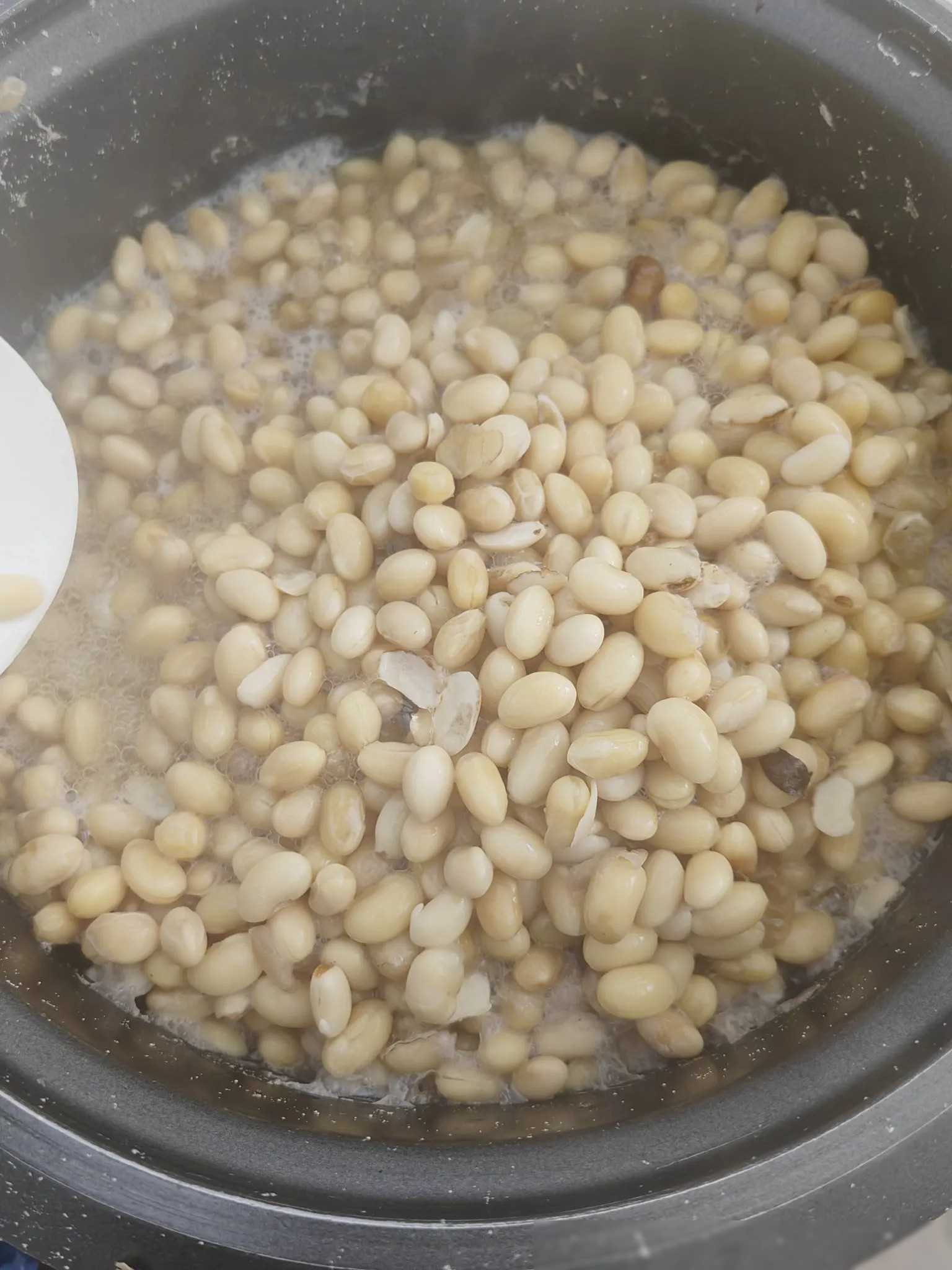 前几天,亲戚给了我好多黄豆,说是他种的,但因为长虫子了不能吃了