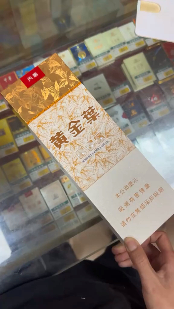 这是不是你最渴望拥有的,黄金叶天花板软天叶.