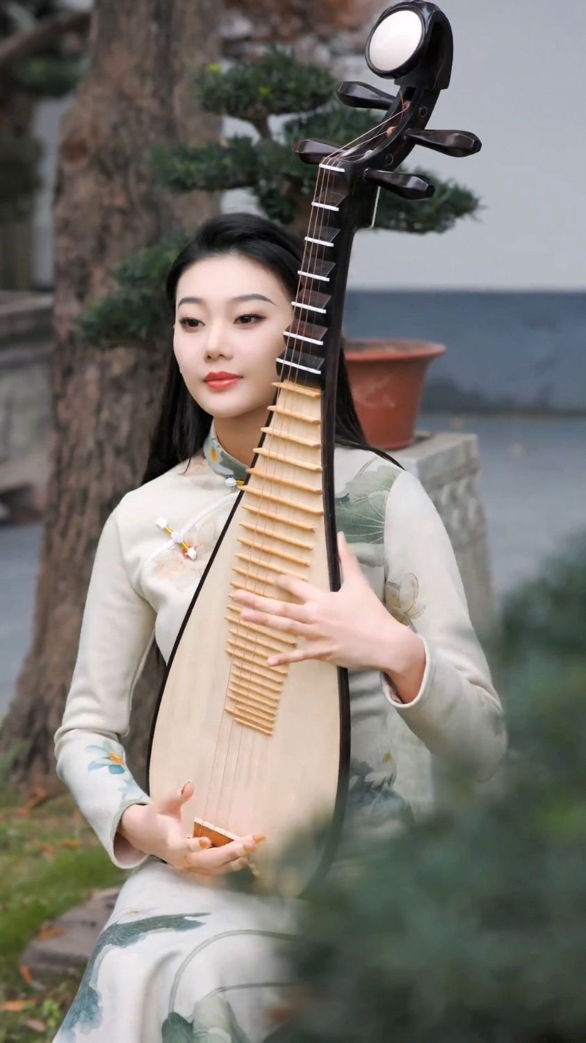 琵琶演奏《半壶纱》