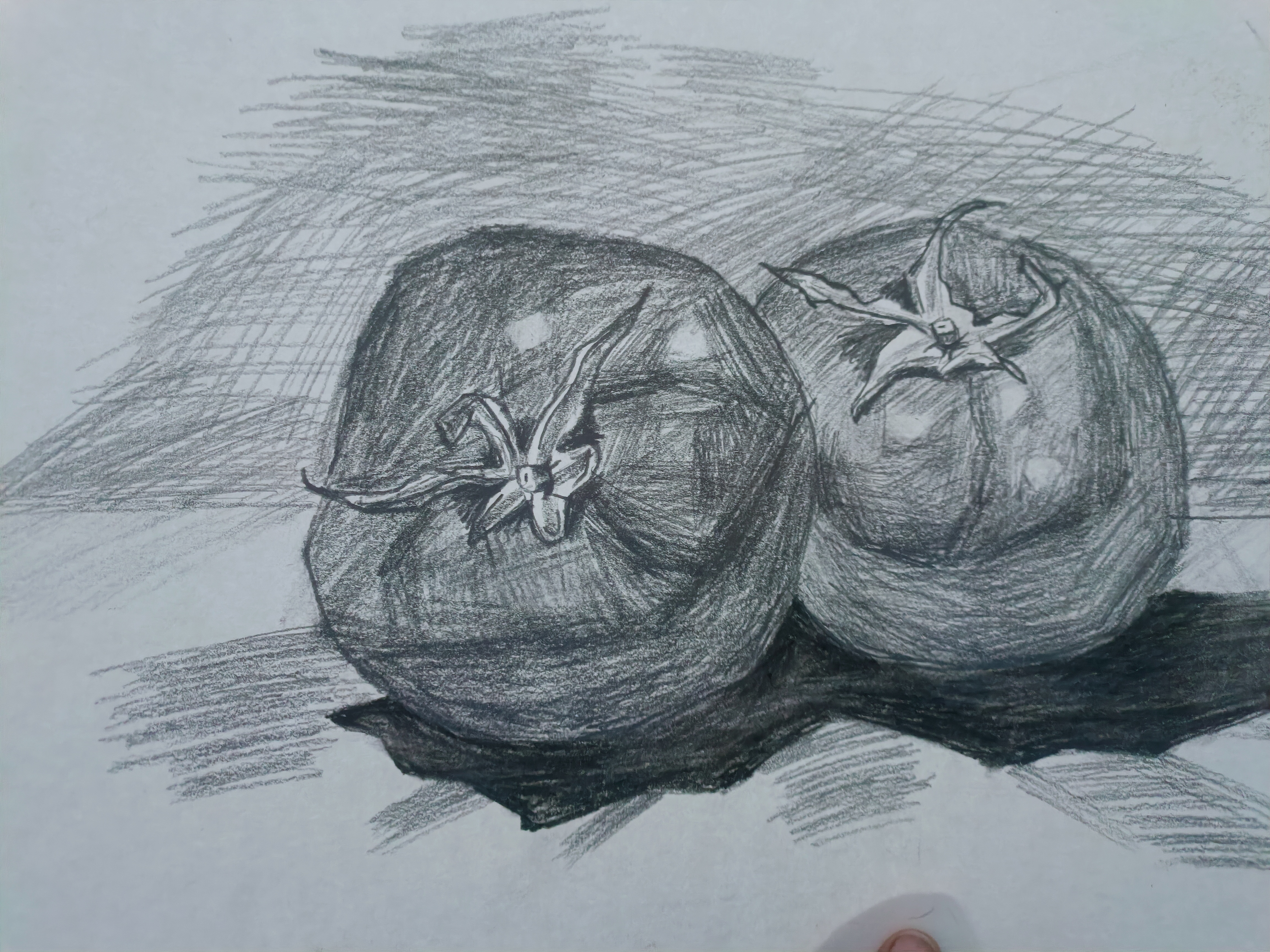 8岁萌娃的素描作品之西红柿!#素描基础学习