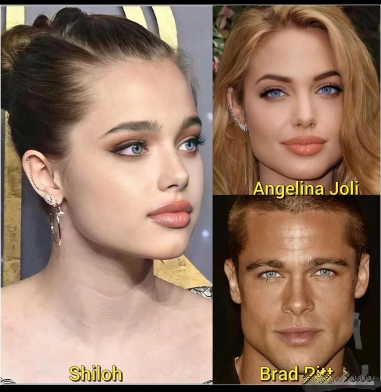 安吉丽娜朱丽的基因真强大