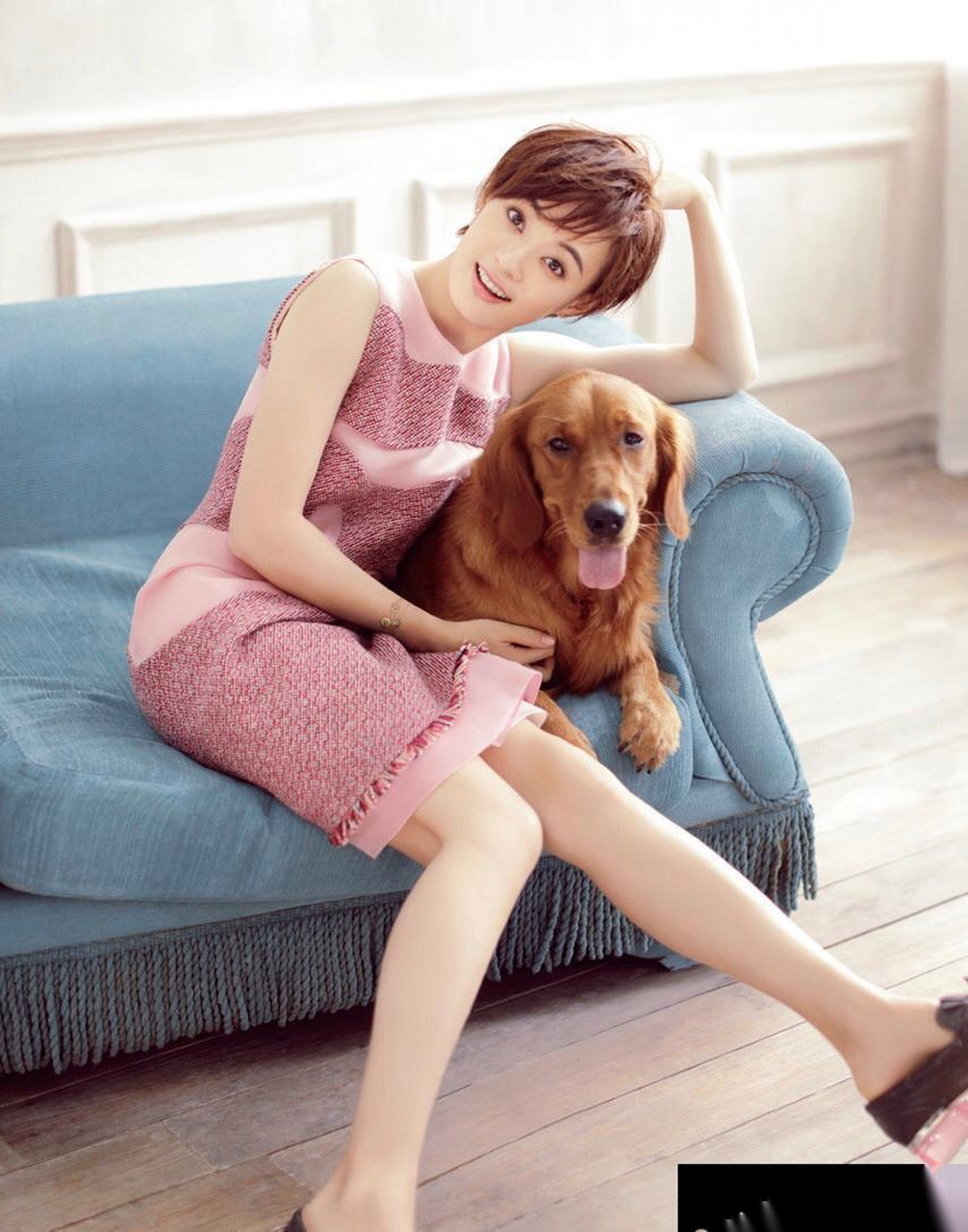 宠狗"狂魔"孙俪,家里狗狗成群结伴