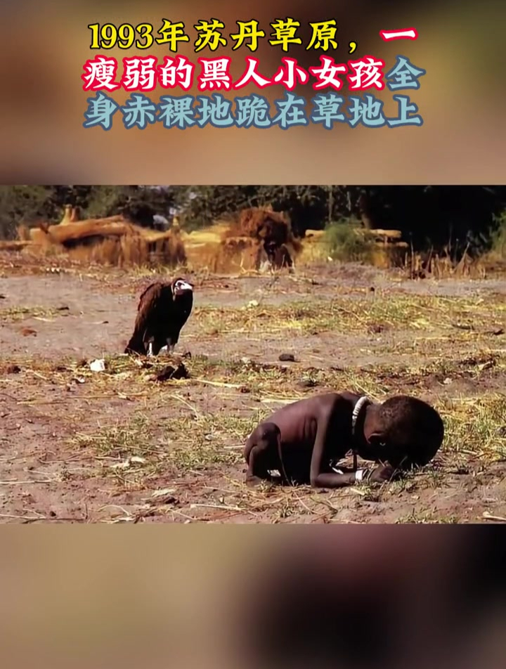 1993年,苏丹草原,一瘦弱的黑人小女孩全身赤裸地跪在草地上
