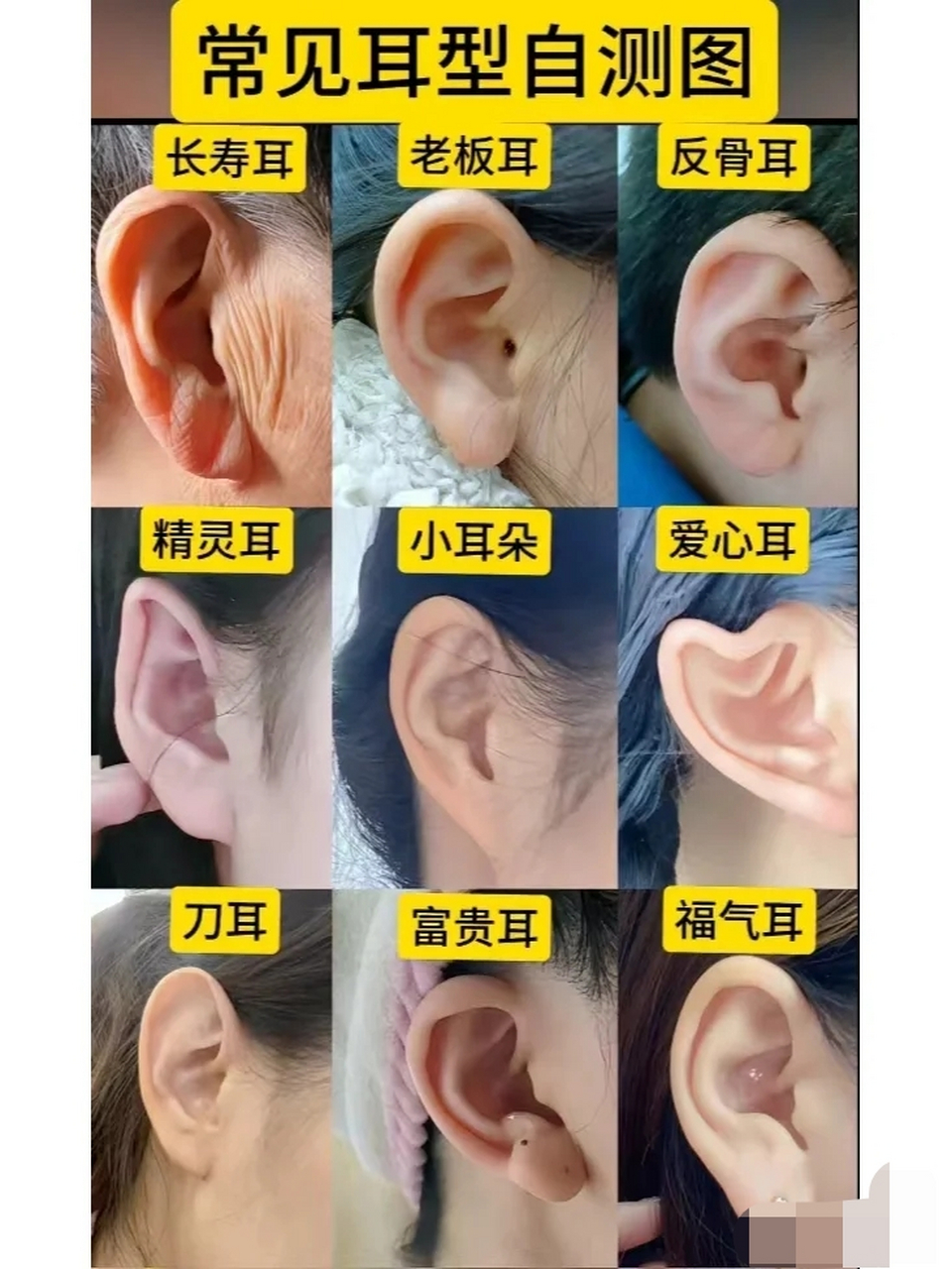 第一次看到这样的耳朵形状,开眼了,还有心形的这是怎么,长得,真是无奇